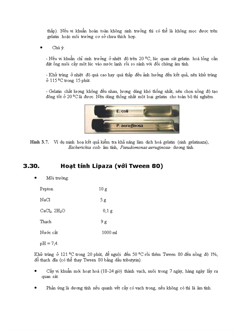 image for page Vi sinh vật phần 3
