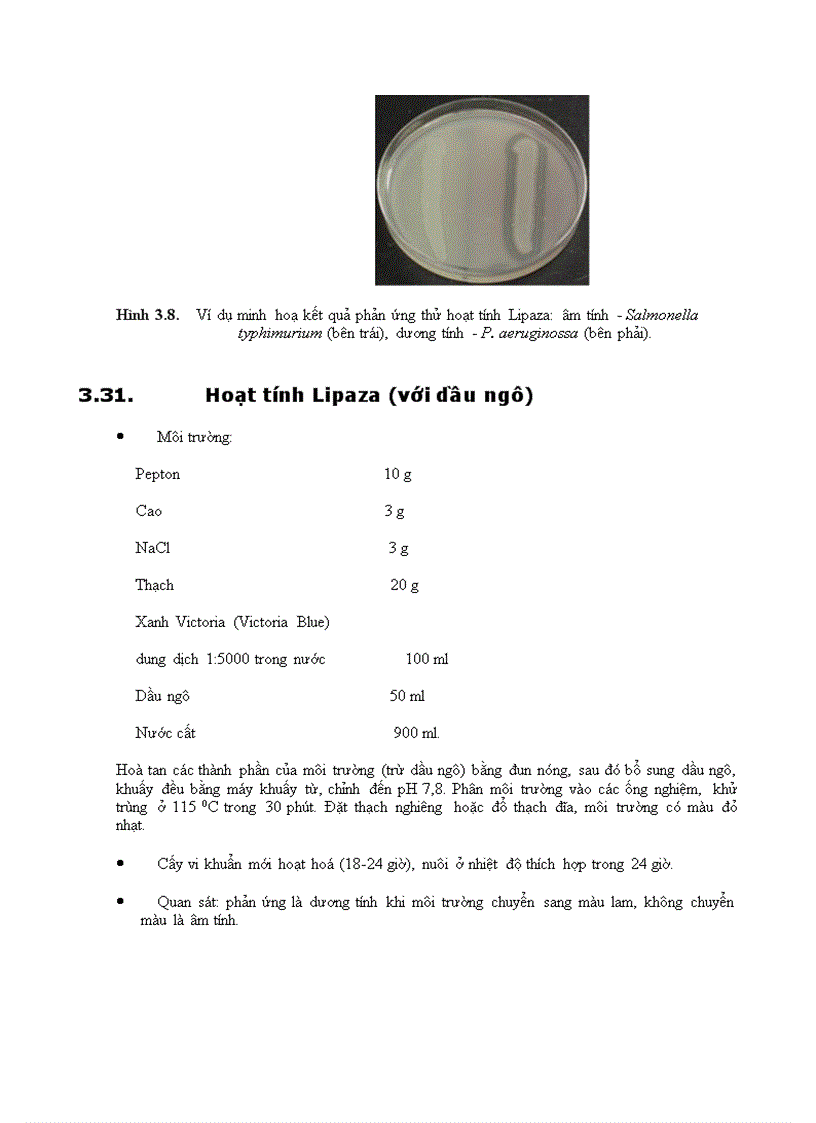 image for page Vi sinh vật phần 3