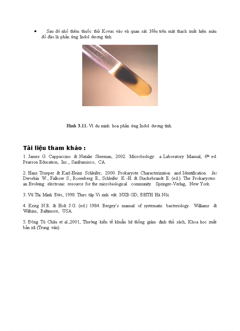 image for page Vi sinh vật phần 3