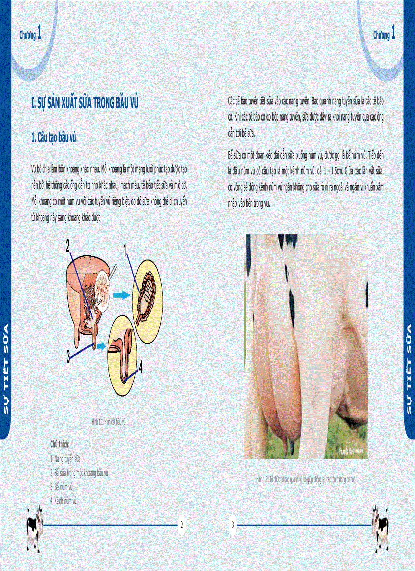 image for page Quản lý chất lượng sữa