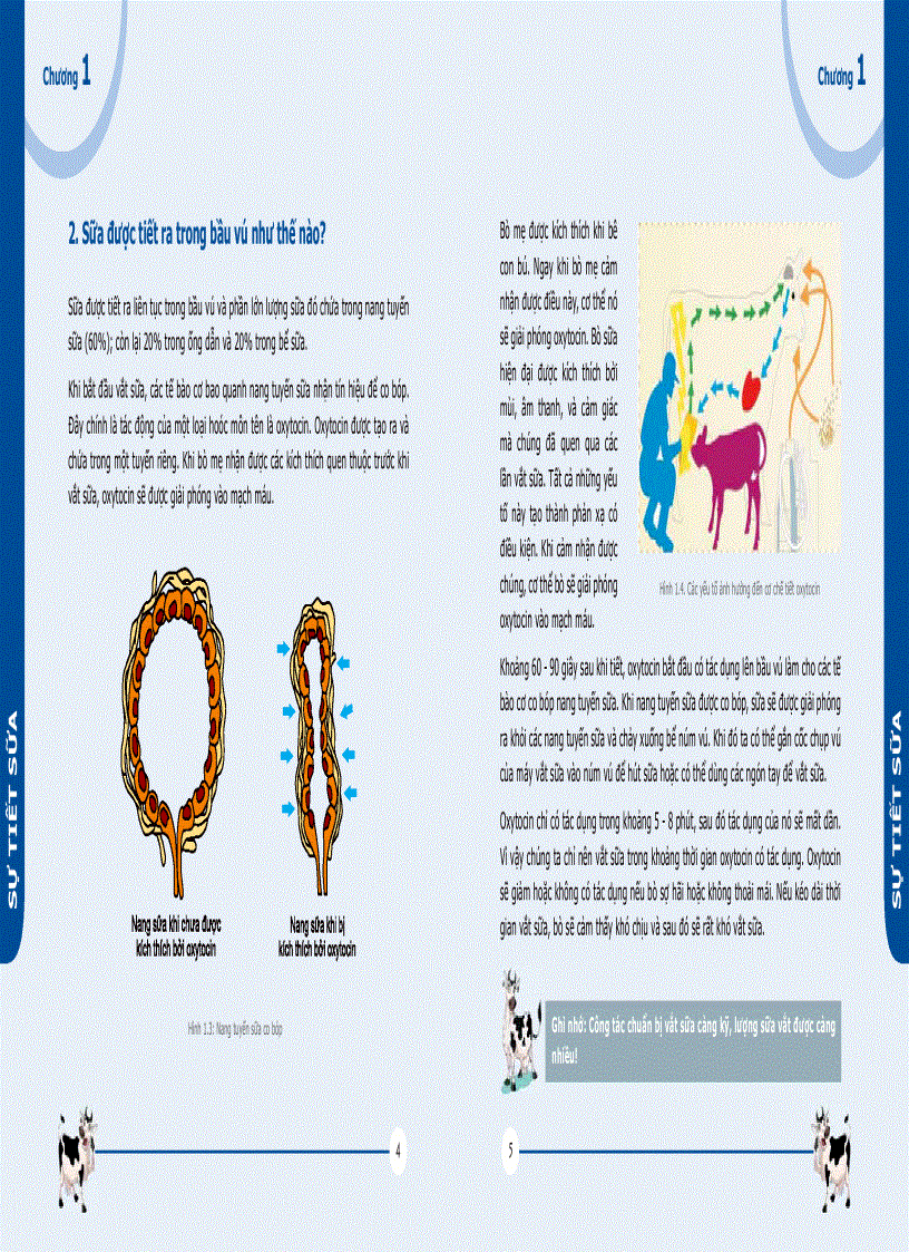 image for page Quản lý chất lượng sữa