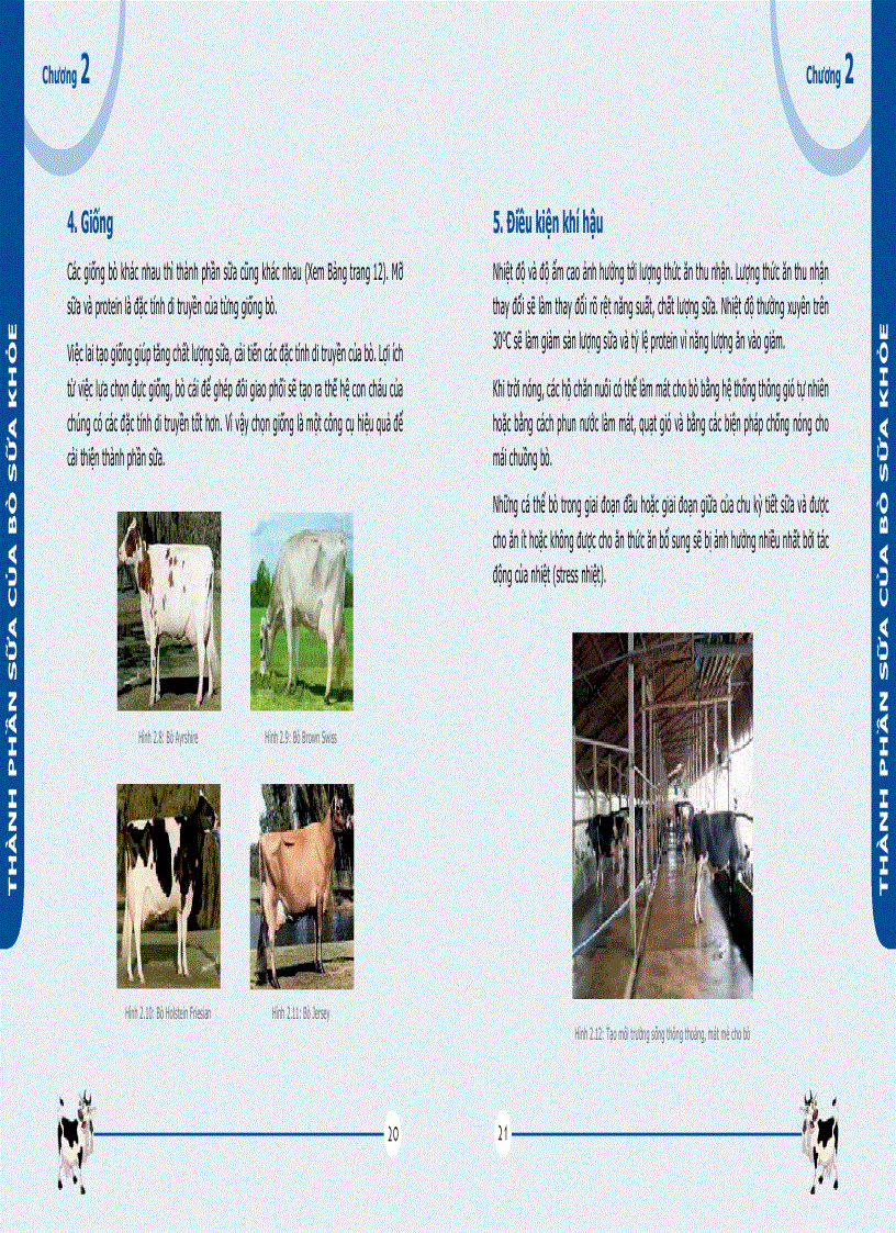 image for page Quản lý chất lượng sữa