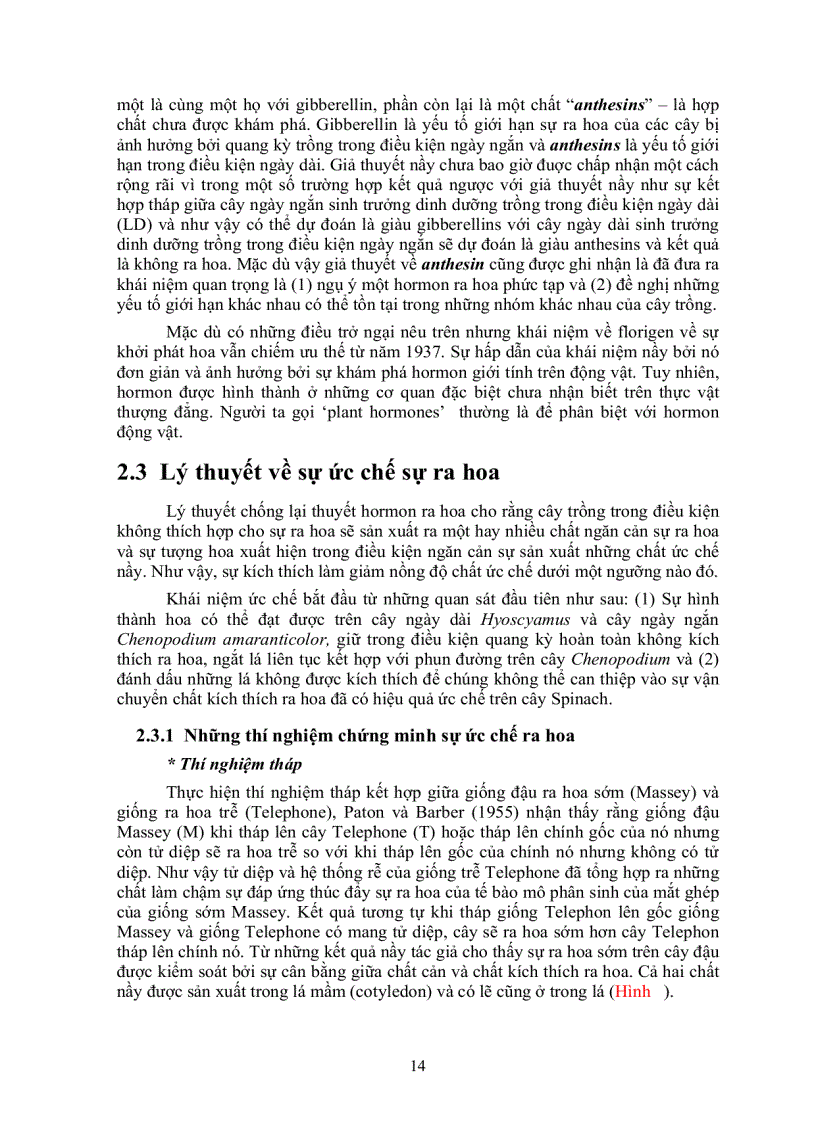 image for page Xử lý ra hoa