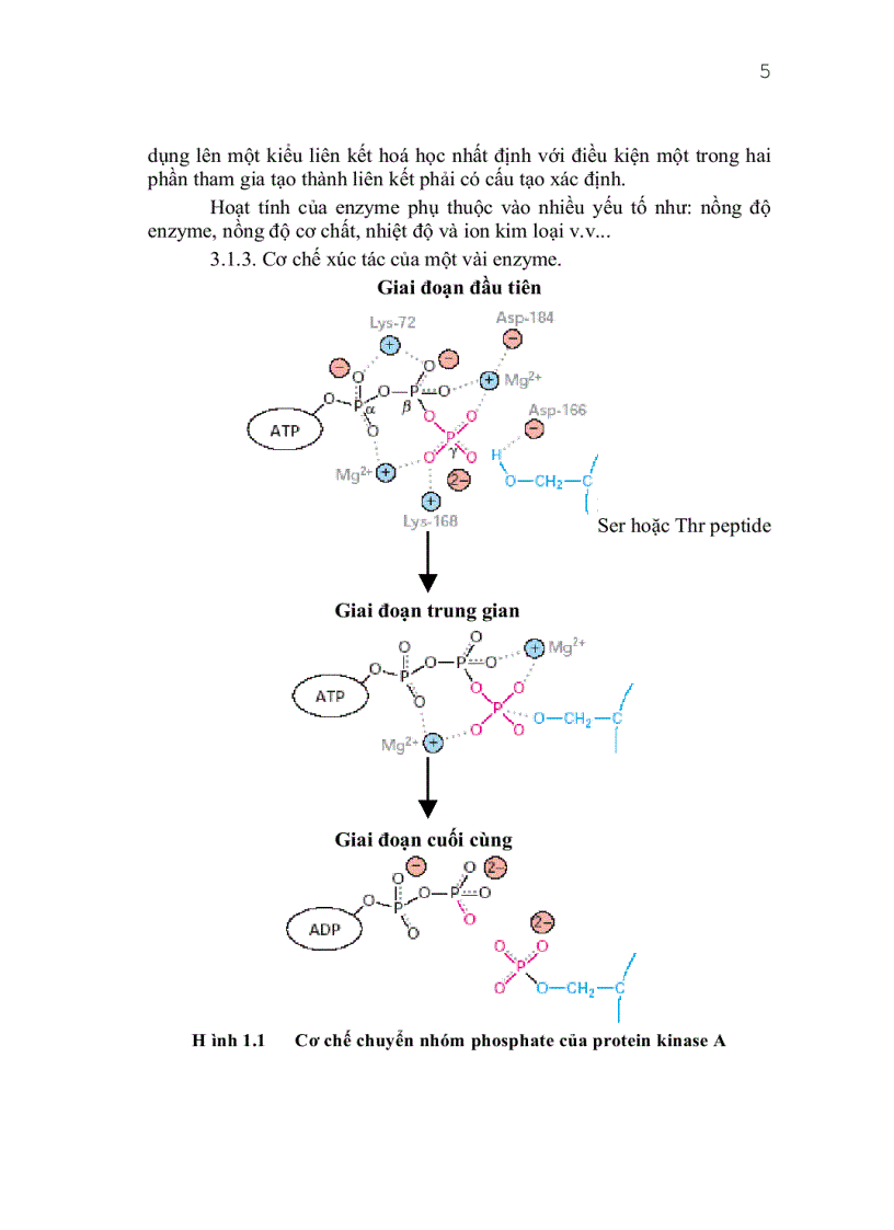 image for page Giáo trình công nghệ protein