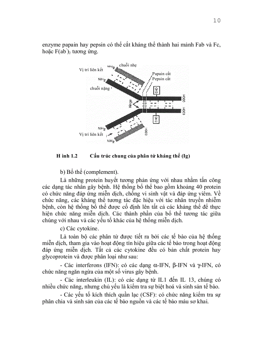 image for page Giáo trình công nghệ protein