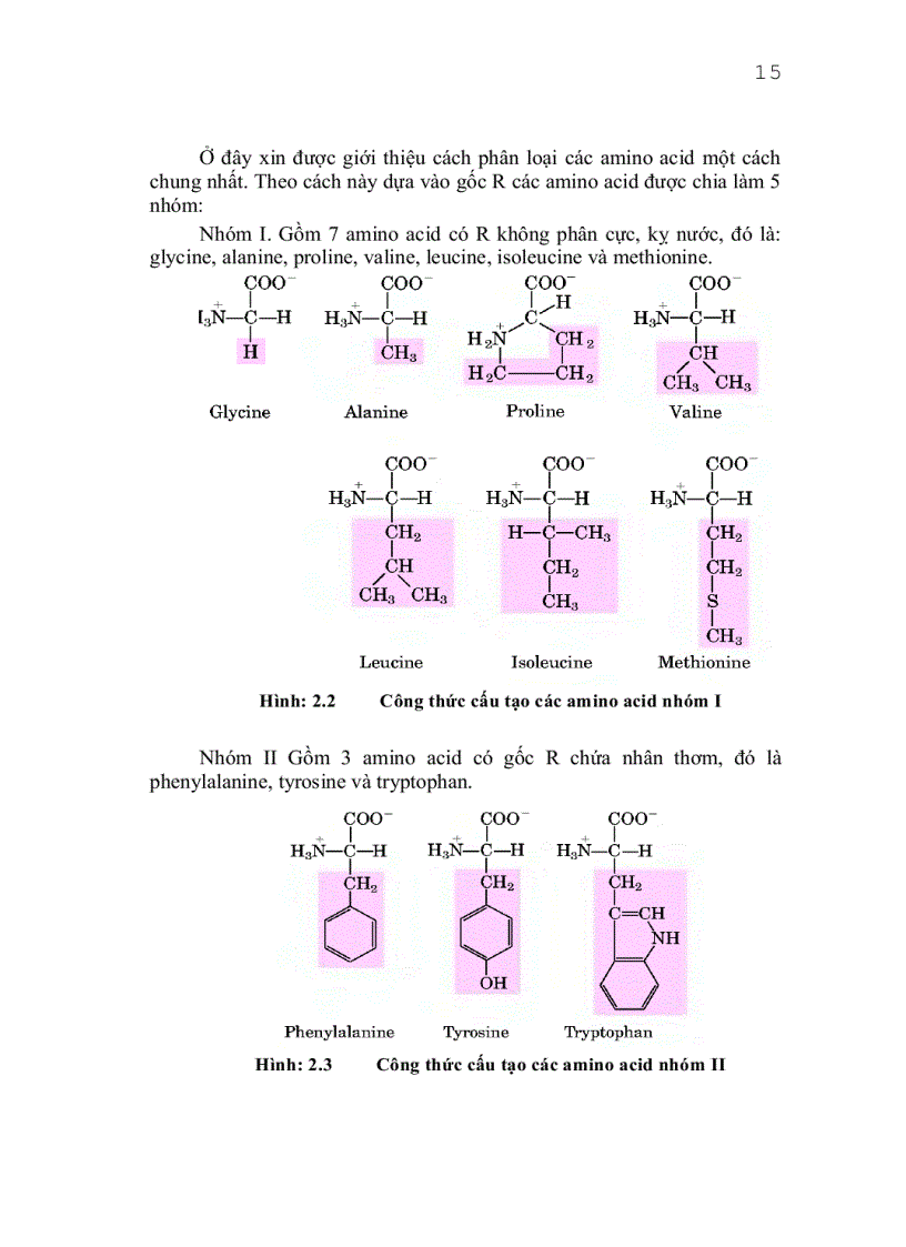 image for page Giáo trình công nghệ protein