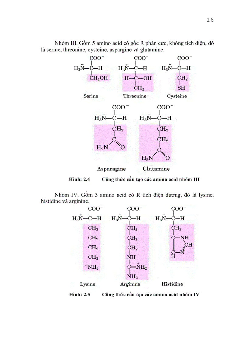 image for page Giáo trình công nghệ protein