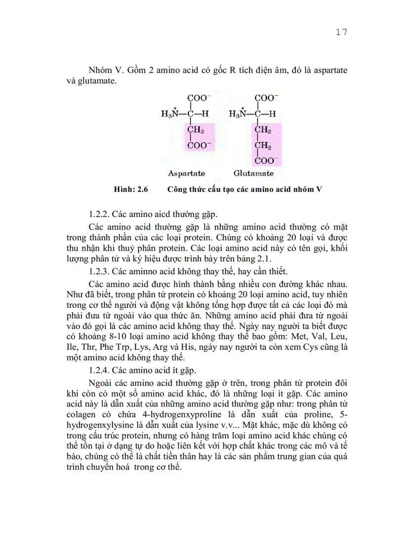 image for page Giáo trình công nghệ protein