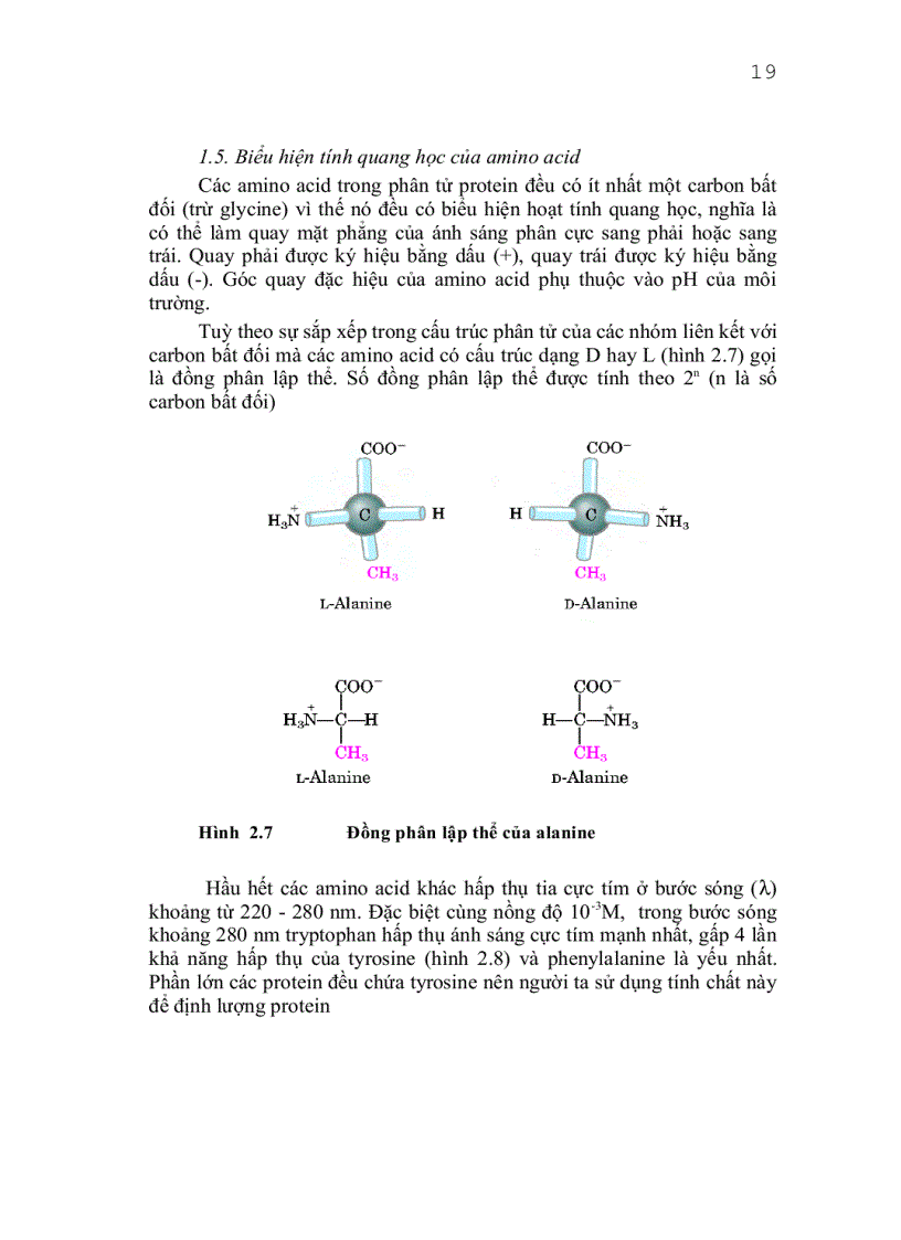 image for page Giáo trình công nghệ protein