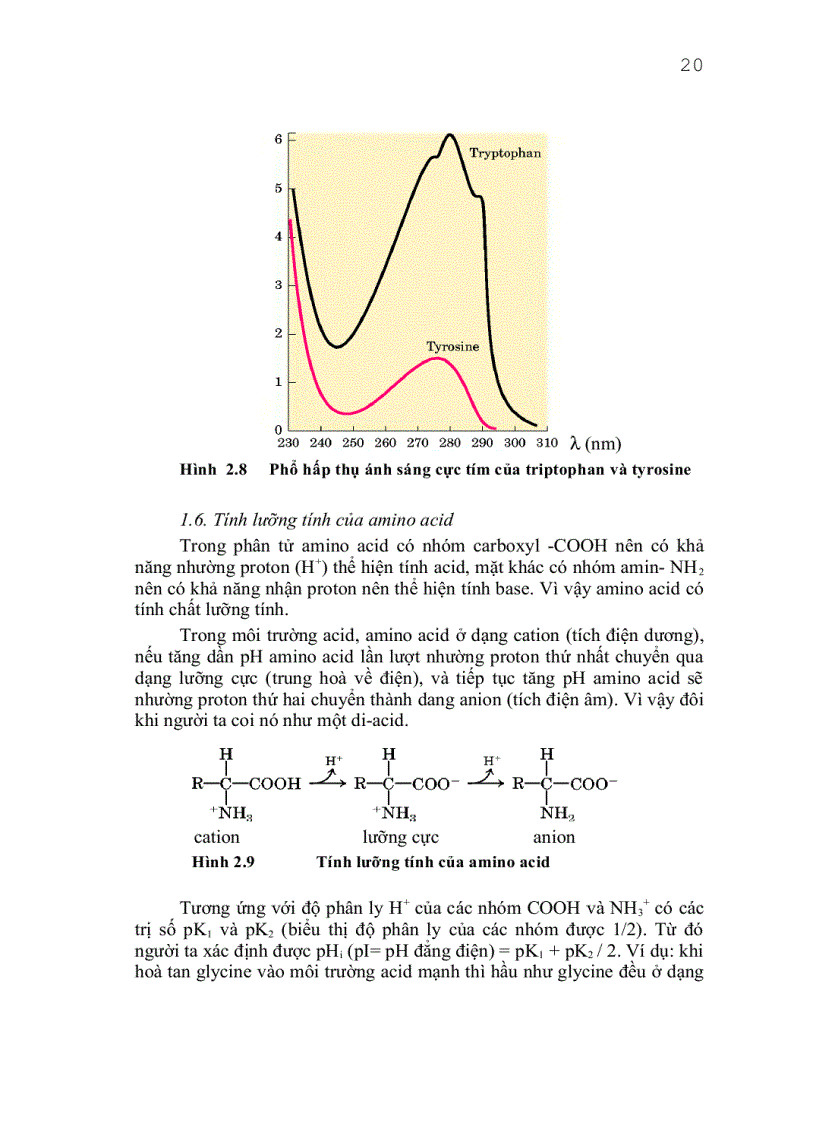 image for page Giáo trình công nghệ protein