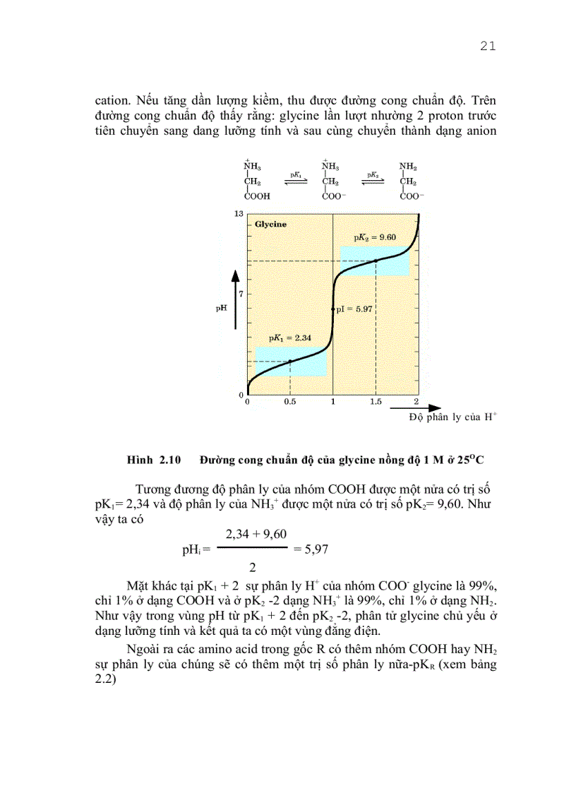 image for page Giáo trình công nghệ protein