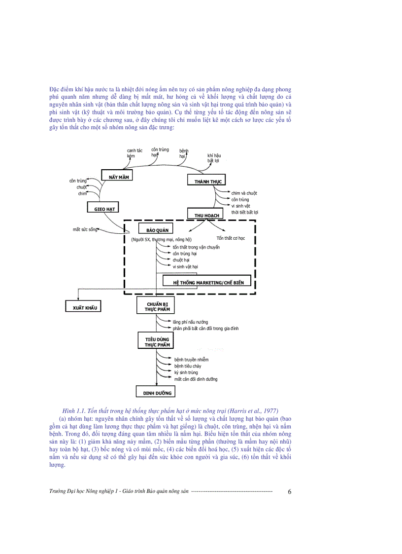 image for page Giáo trình bảo quản nông sản