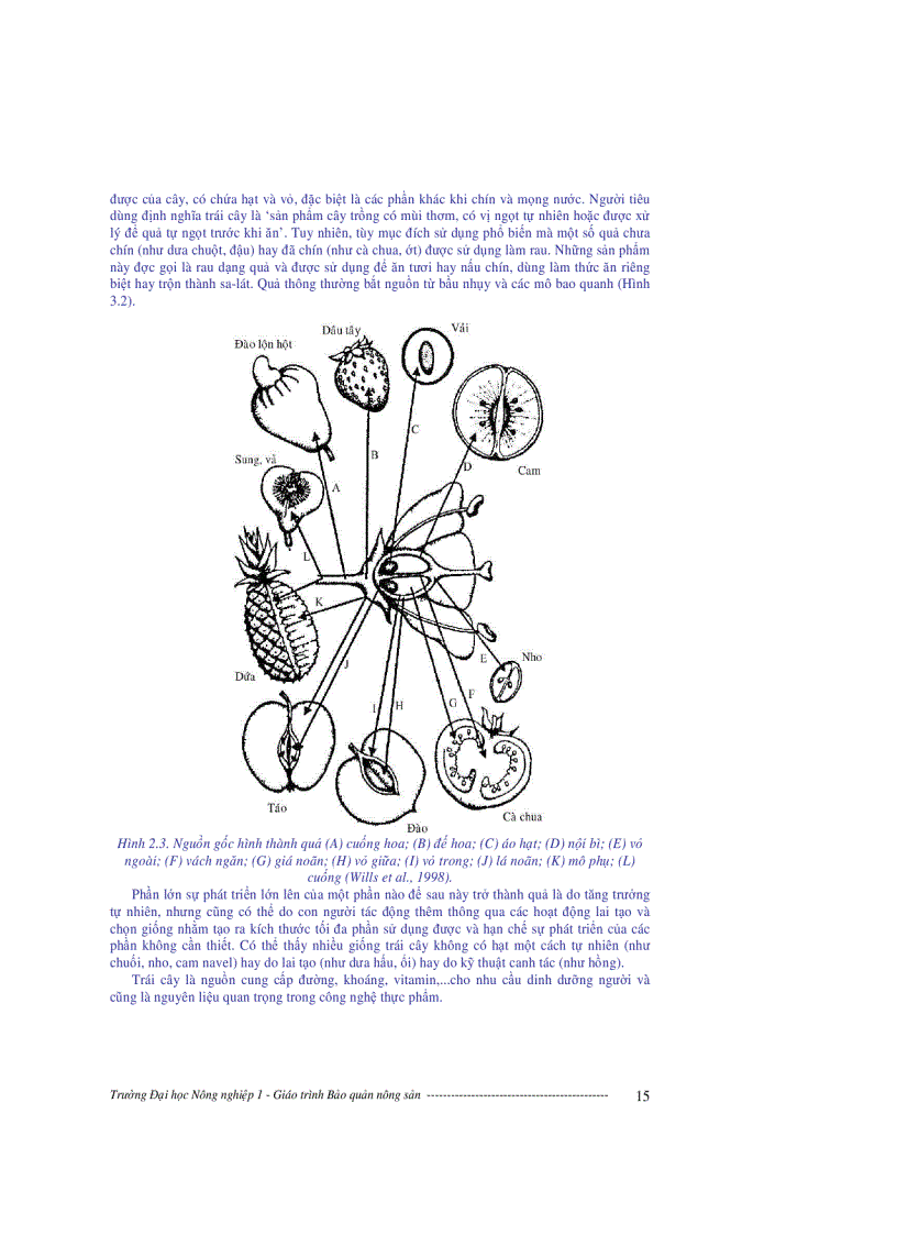 image for page Giáo trình bảo quản nông sản