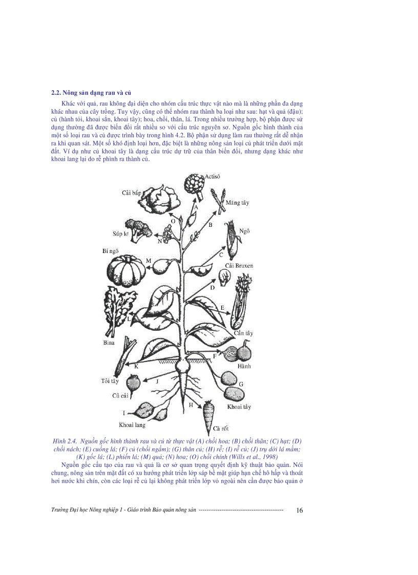 image for page Giáo trình bảo quản nông sản