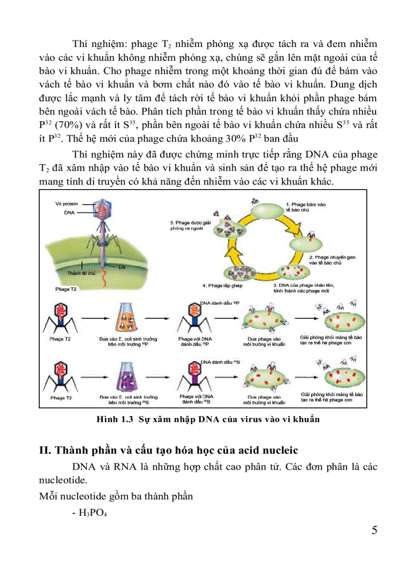 image for page Giáo trình di truyền học Sách THPT Cao đẳng Đại học