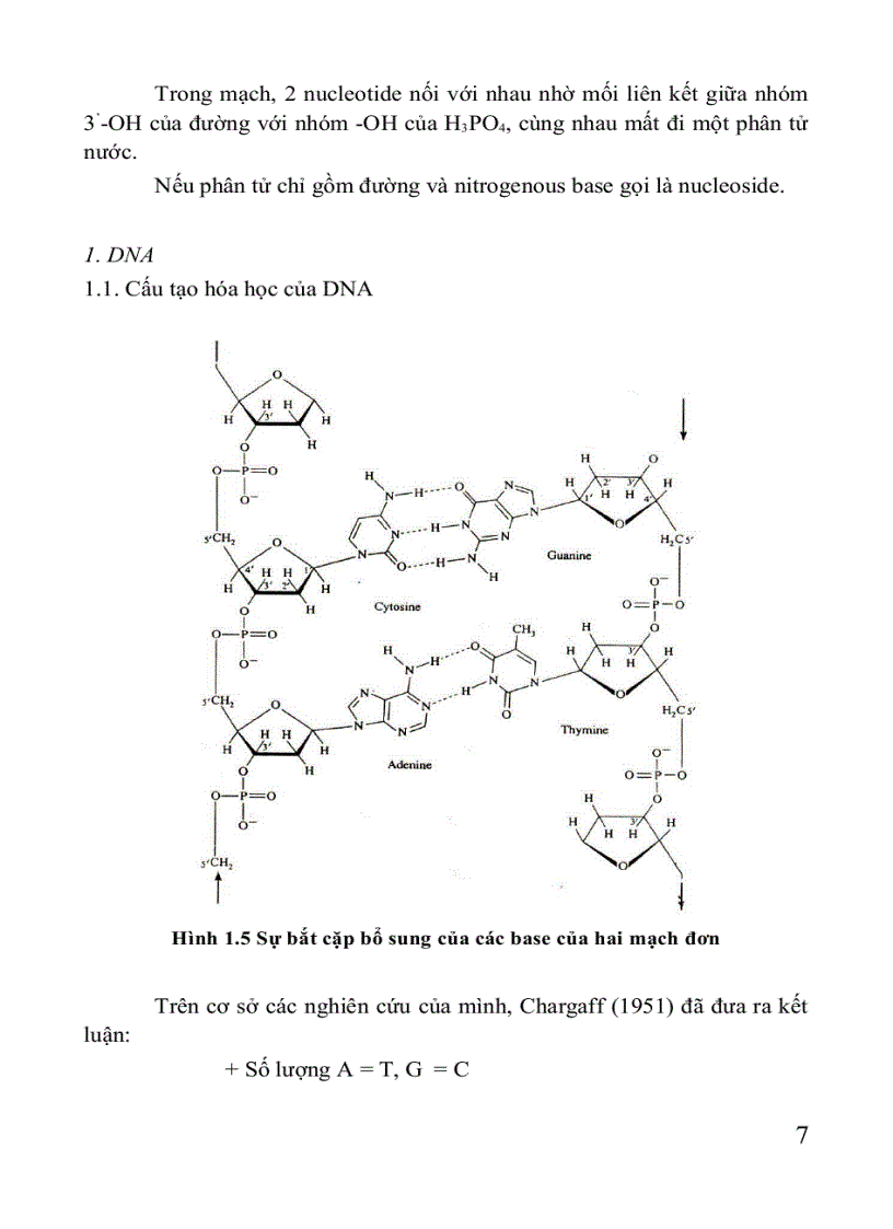 image for page Giáo trình di truyền học Sách THPT Cao đẳng Đại học