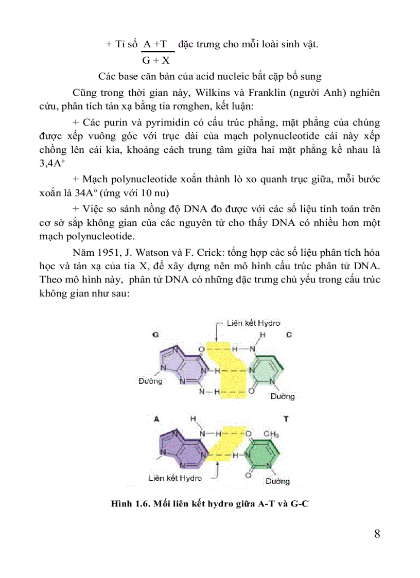 image for page Giáo trình di truyền học Sách THPT Cao đẳng Đại học