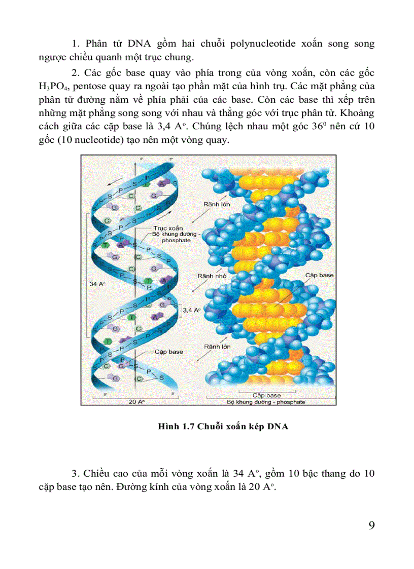 image for page Giáo trình di truyền học Sách THPT Cao đẳng Đại học