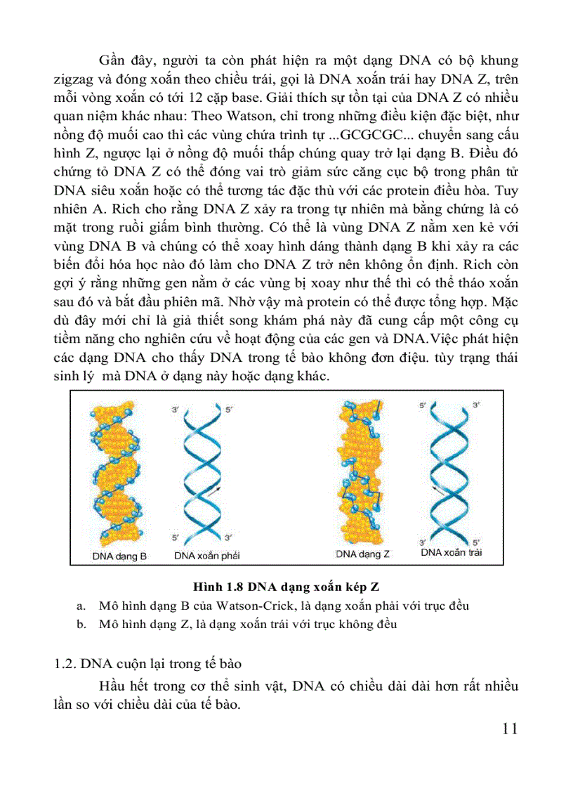 image for page Giáo trình di truyền học Sách THPT Cao đẳng Đại học