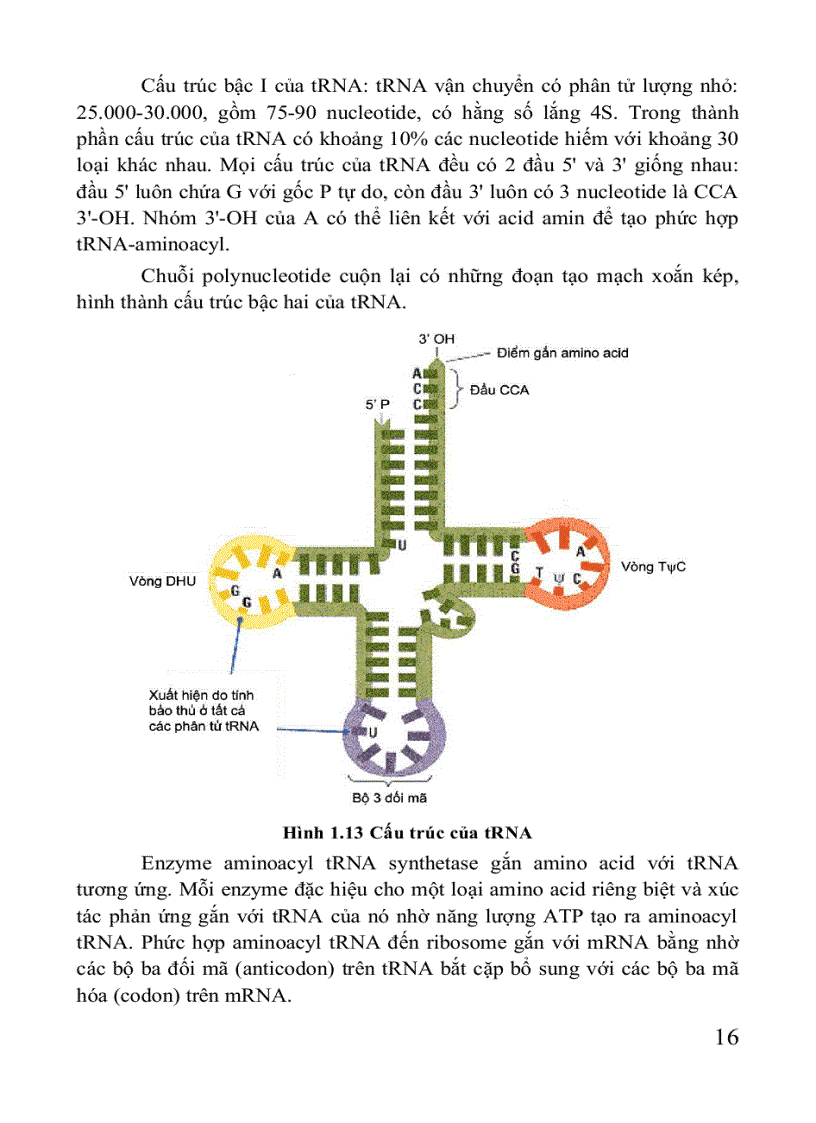 image for page Giáo trình di truyền học Sách THPT Cao đẳng Đại học