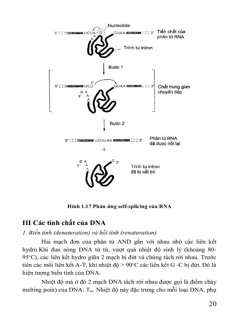 image for page Giáo trình di truyền học Sách THPT Cao đẳng Đại học