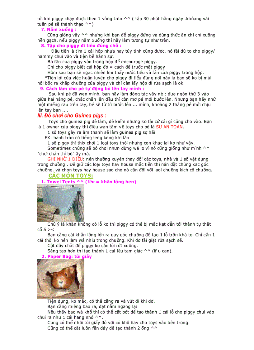 image for page EBOOK Hướng dẫn nuôi bọ Hamster