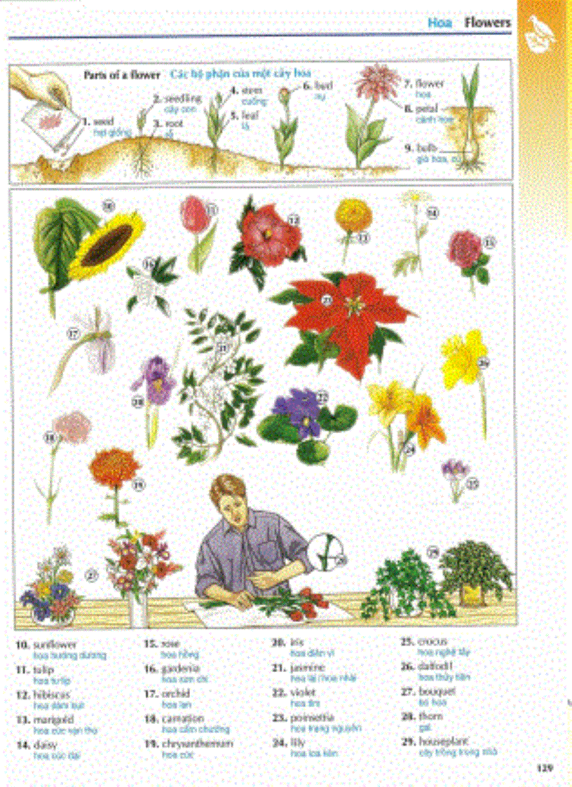 image for page Chapter 3 học tiếng anh qua hình ảnh