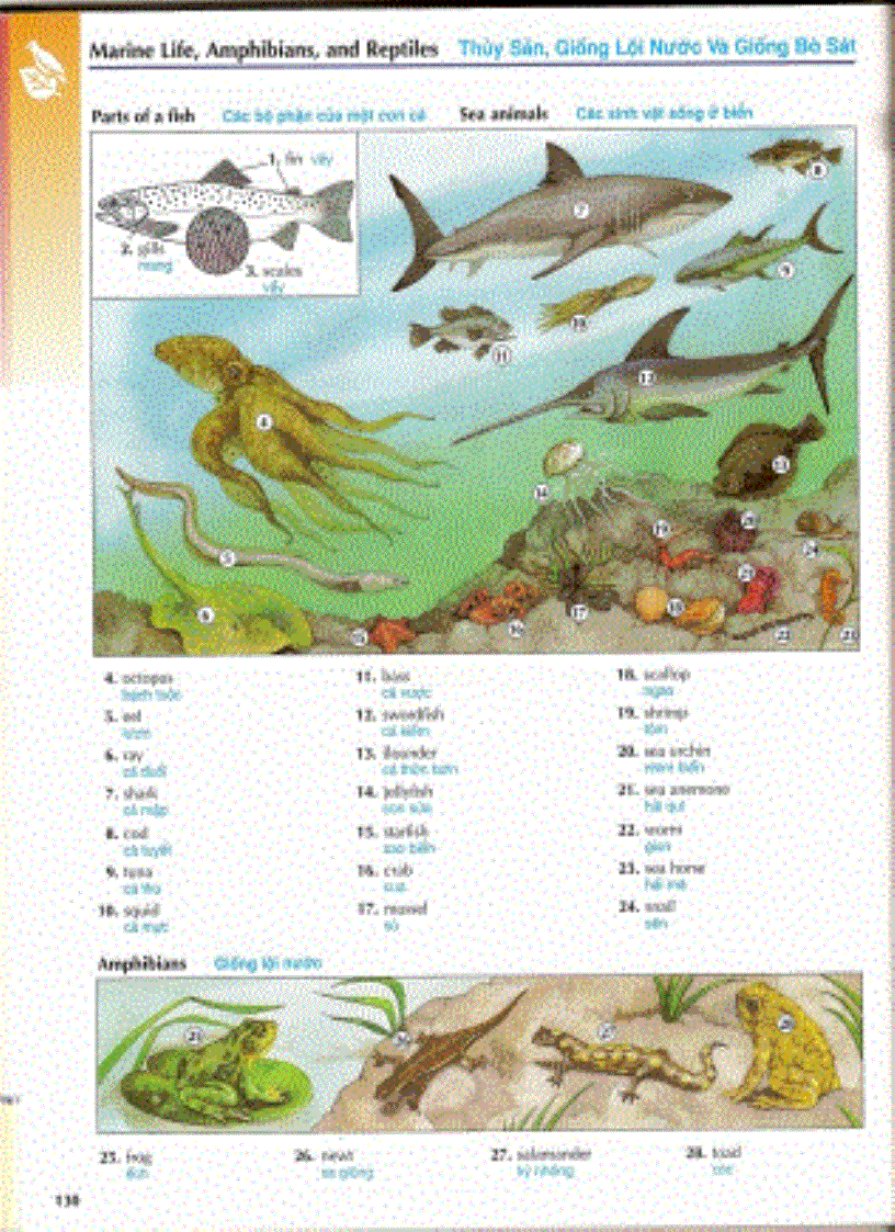 image for page Chapter 3 học tiếng anh qua hình ảnh