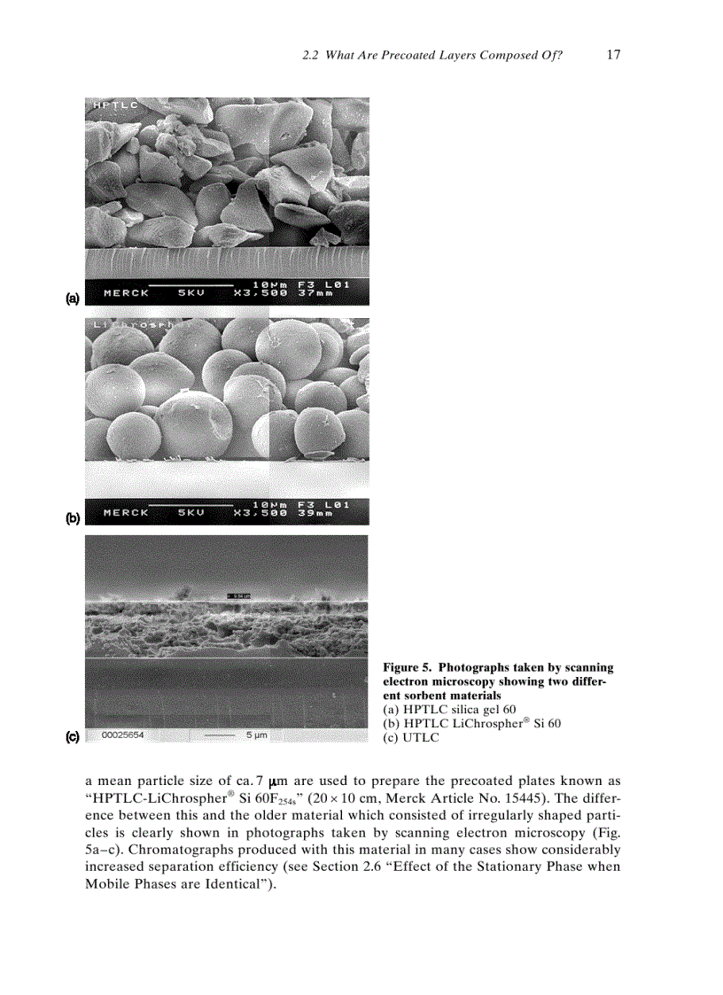 image for page Apply Thin Layer Chromatography Elke Hahn Deinstrop