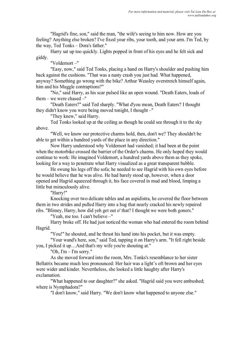 image for page Harry Poster 7 English