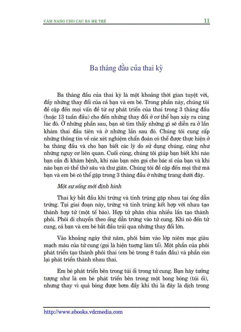 image for page Cẩm nang cho các bà mẹ trẻ