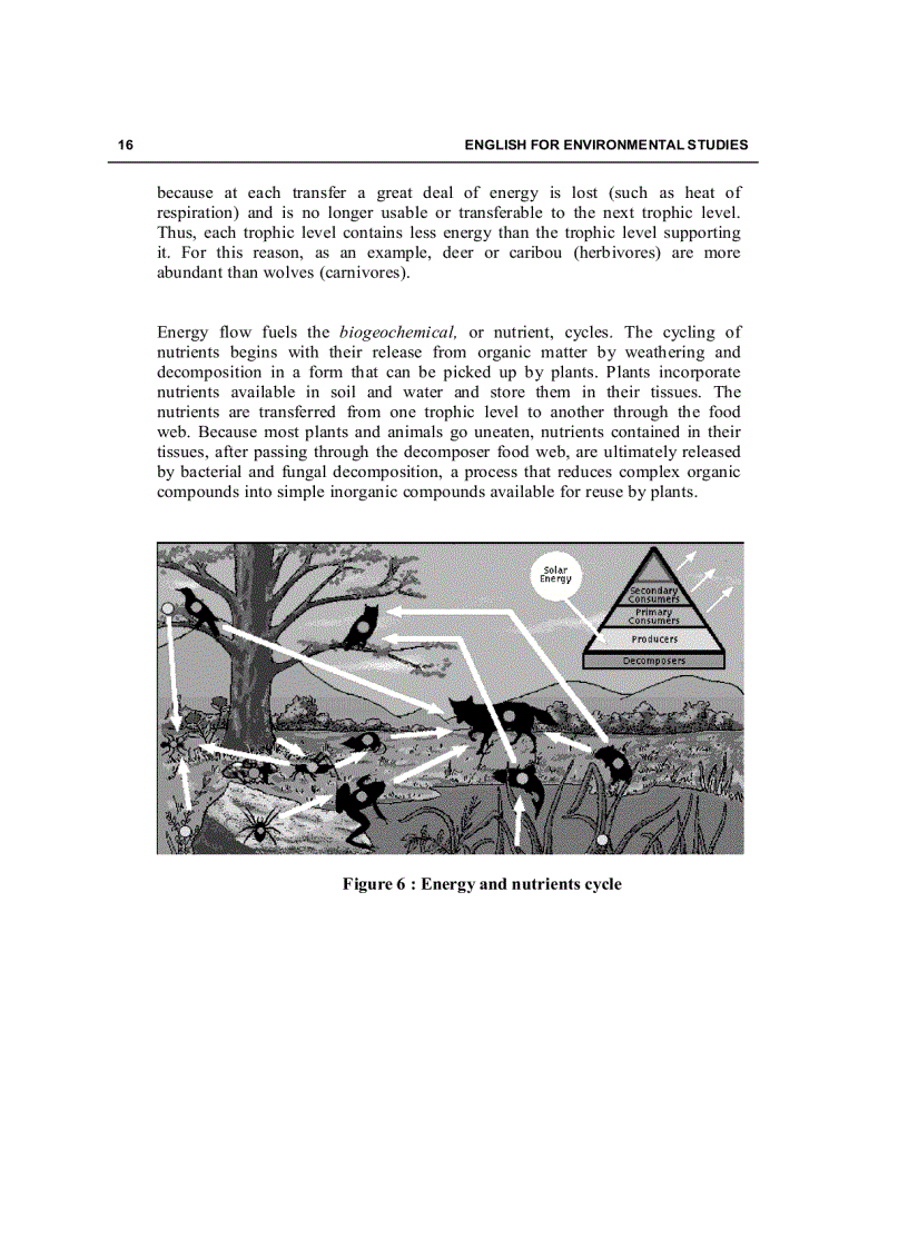 image for page Tiếng Anh chuyên ngành môi trường