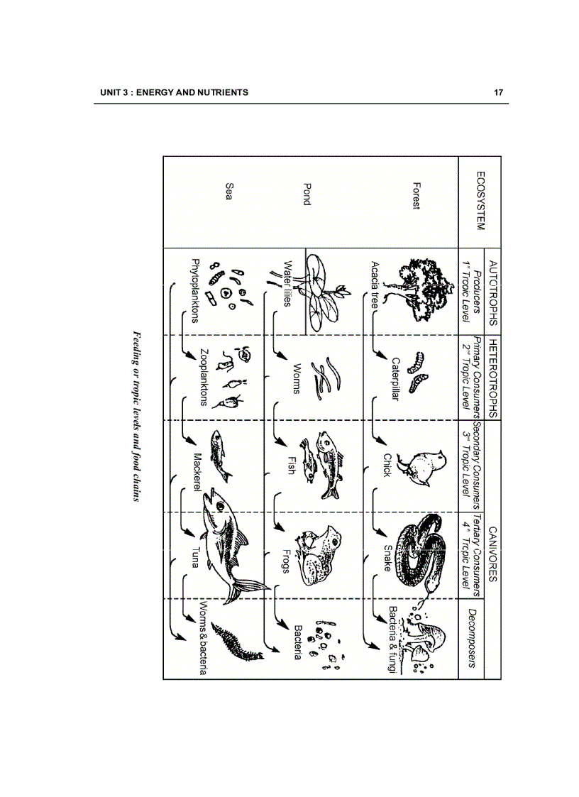 image for page Tiếng Anh chuyên ngành môi trường