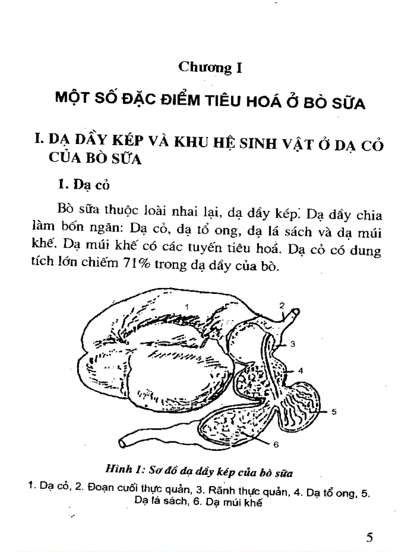 image for page Trồng cỏ nuôi bò sữa