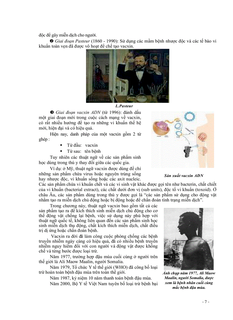 image for page Giáo trình Miễn dịch học ứng dụng