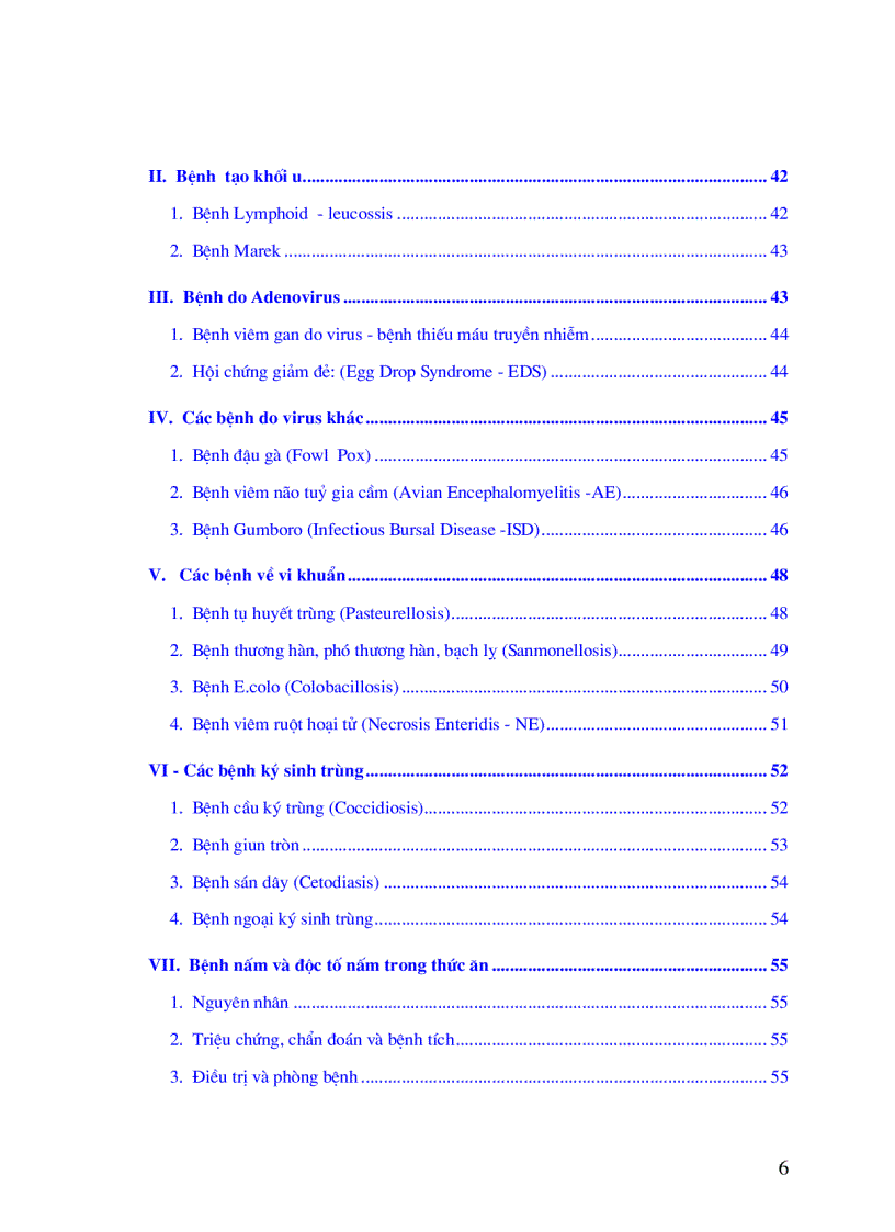 image for page Bí quyết thành công trong chăn nuôi gà