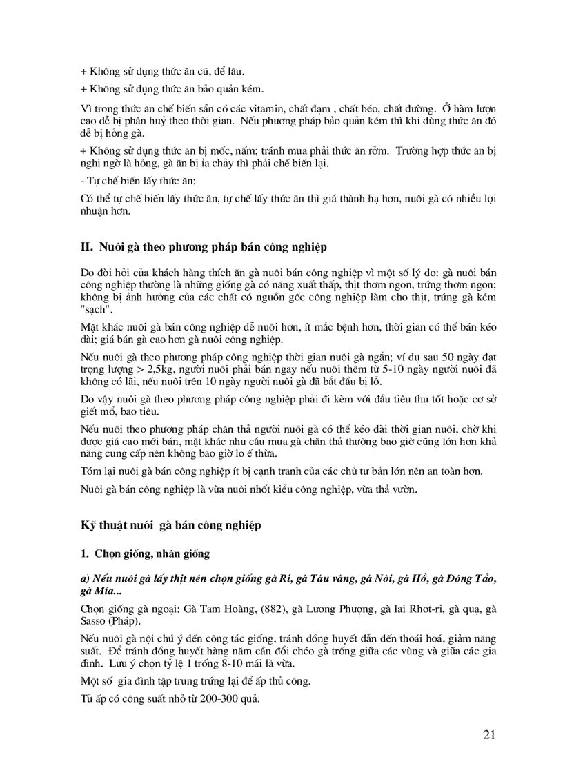 image for page Bí quyết thành công trong chăn nuôi gà