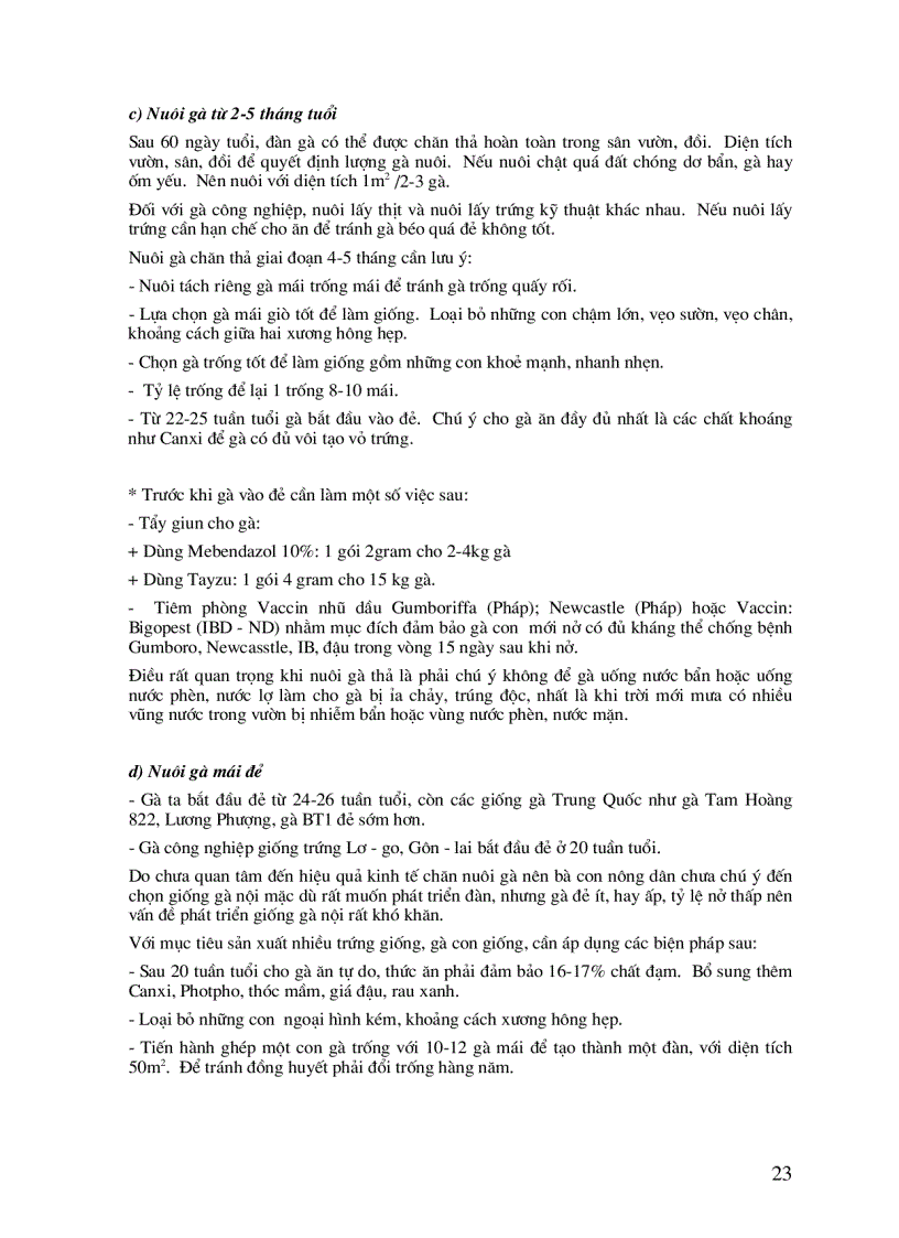 image for page Bí quyết thành công trong chăn nuôi gà