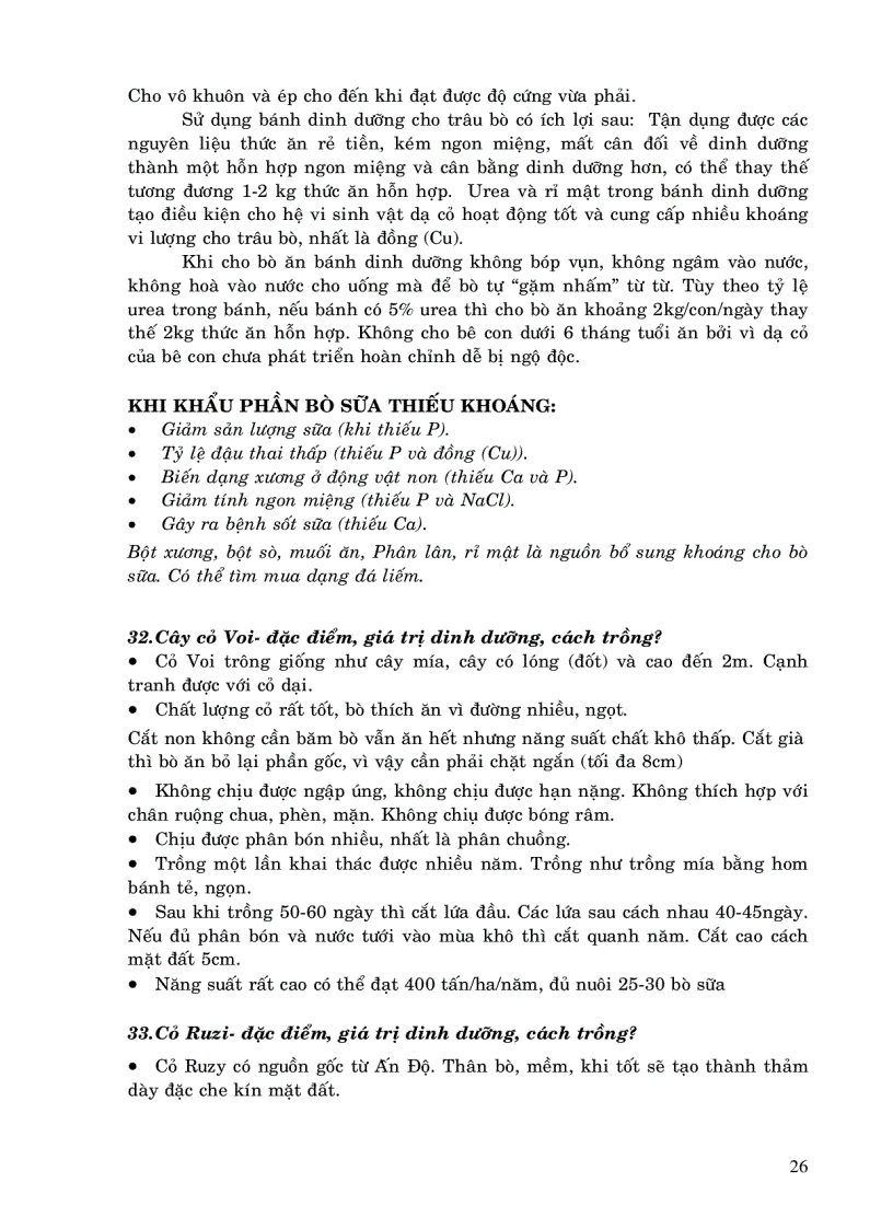 image for page 100 câu hỏi chăn nuôi bò sữa