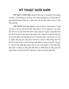 Kỹ thuật nuôi nhím