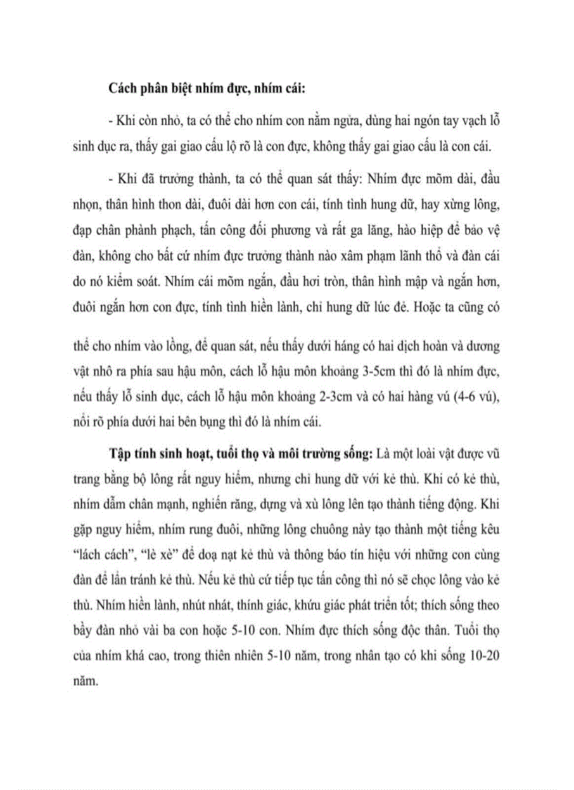 image for page Kỹ thuật nuôi nhím