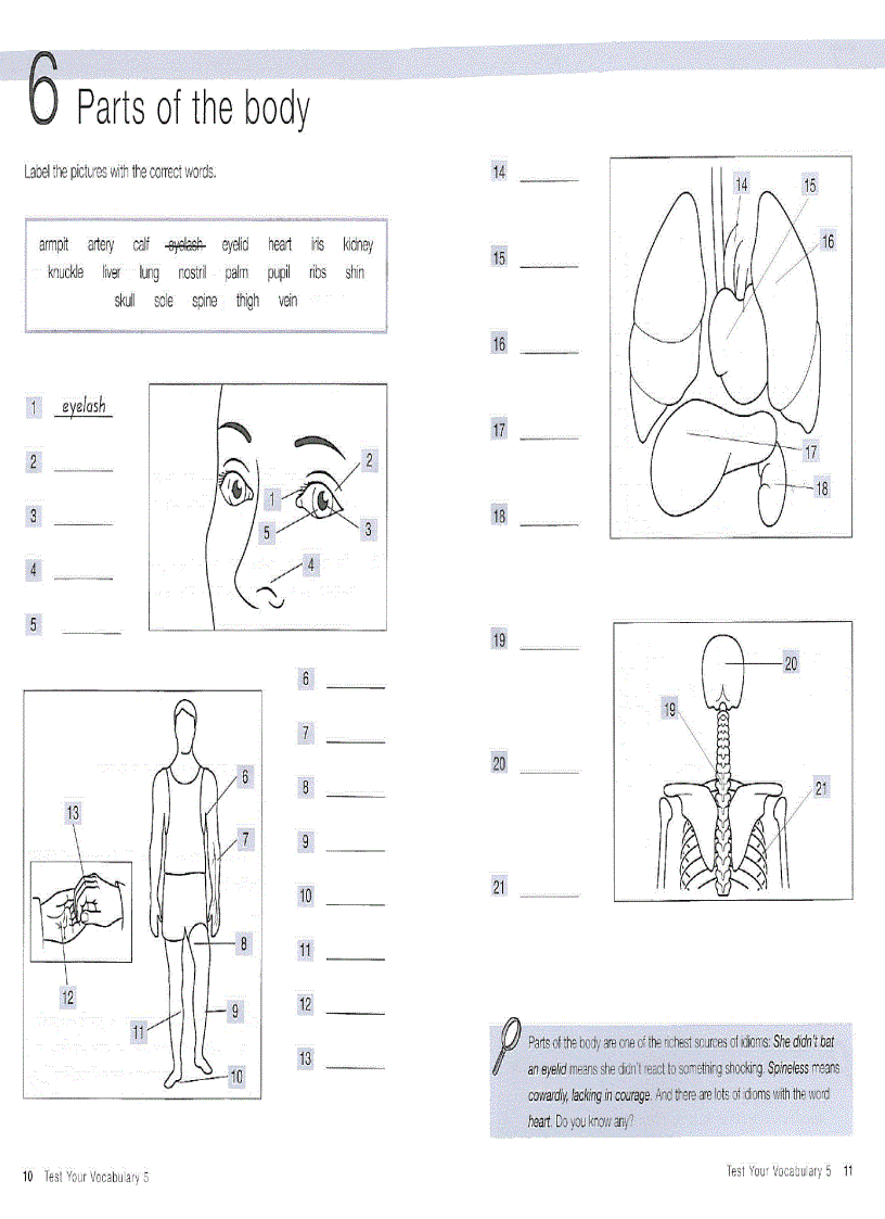 image for page Test your Vocabulary 2
