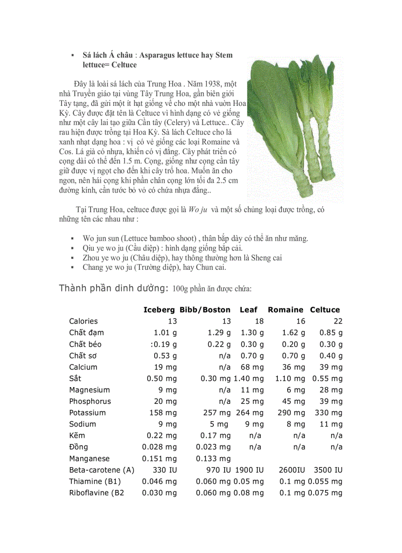 image for page Tự Điển Thảo Mộc Dược Học 1
