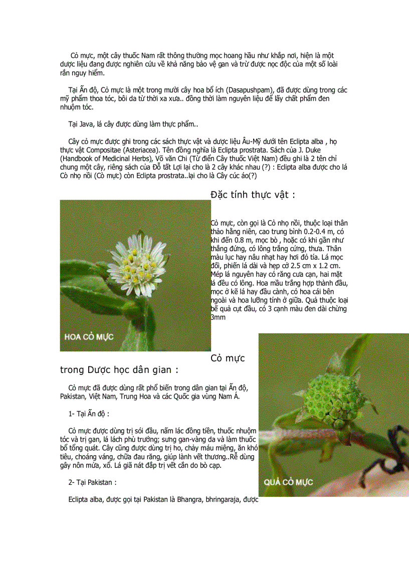 image for page Tự Điển Thảo Mộc Dược Học 1