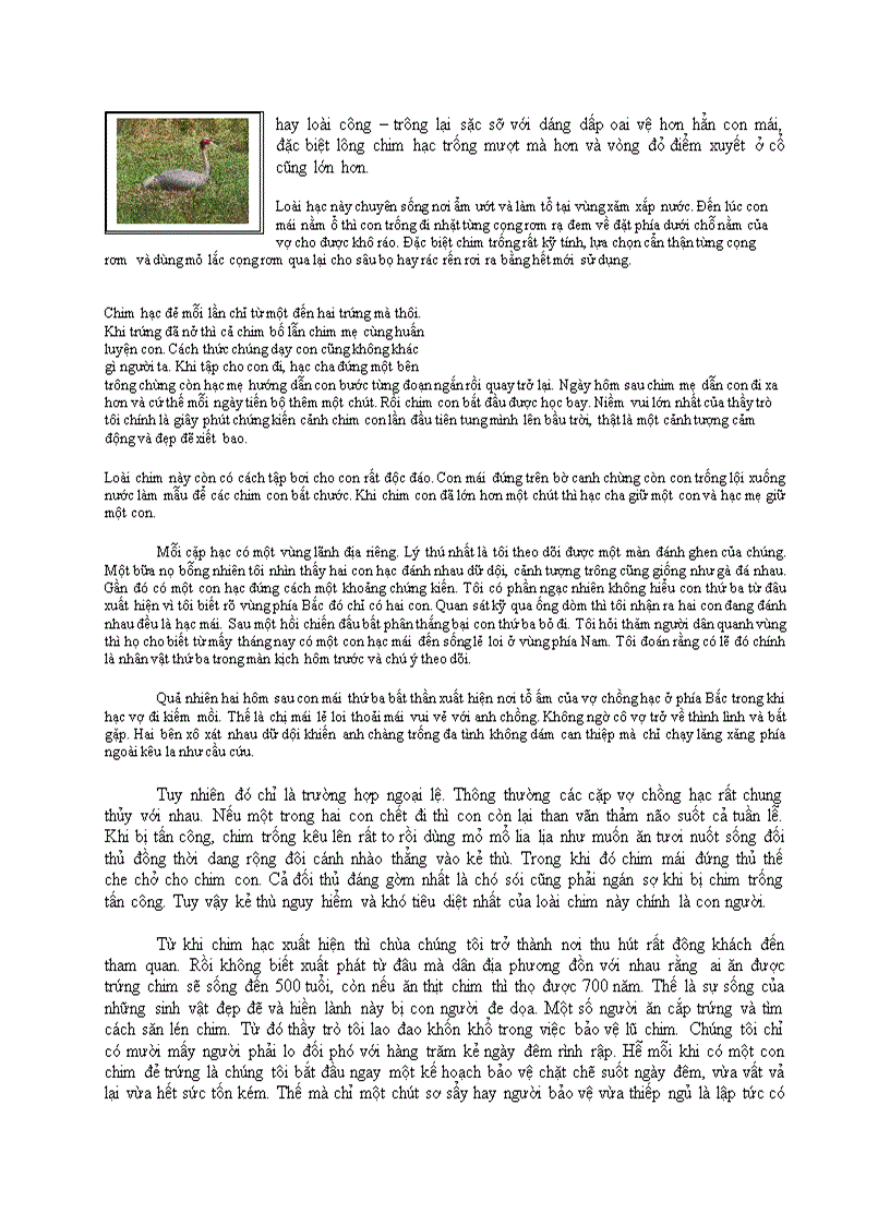 image for page NEPAL HOÀ BÌNH TRONG TẦM TAY Thích Huyền Diệu