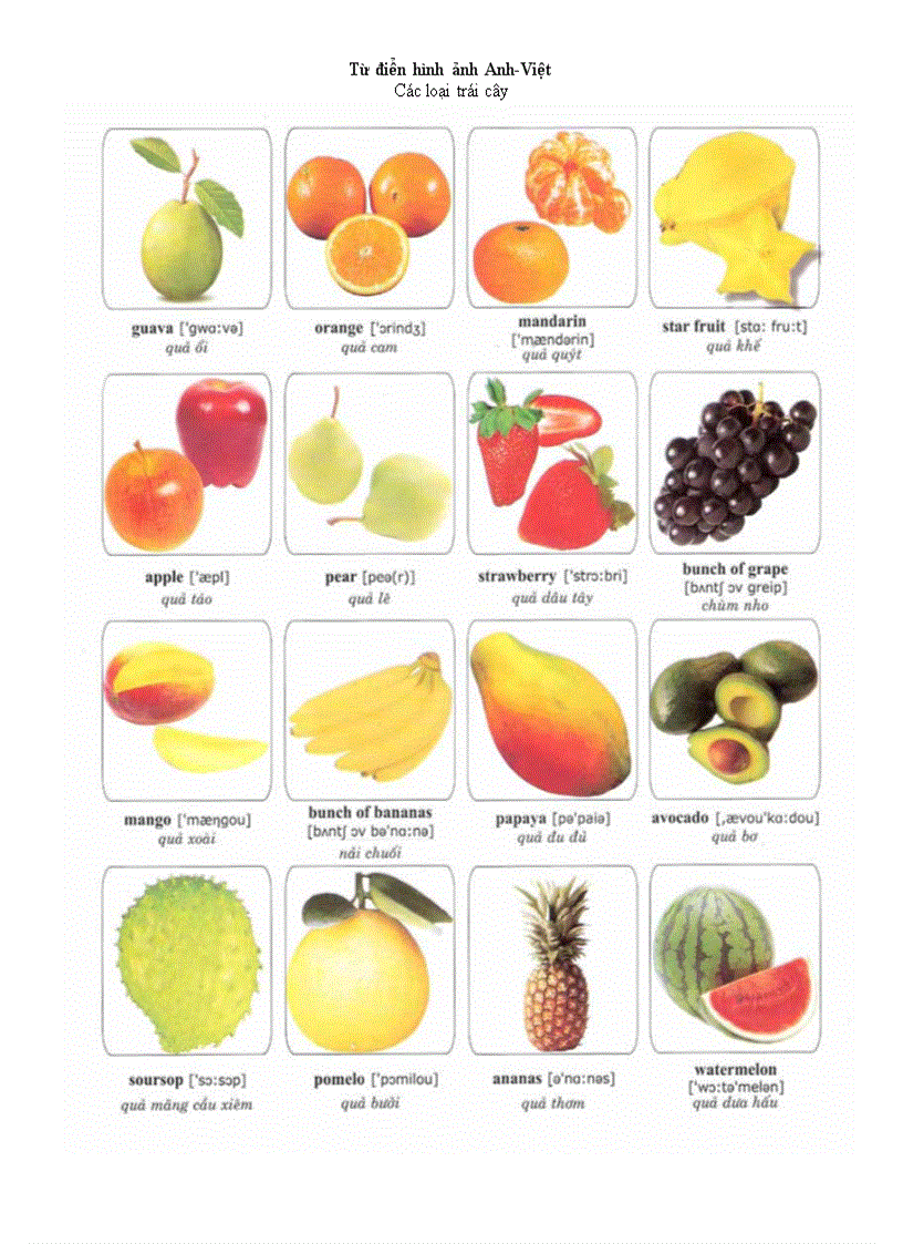 image for page Từ điển hình ảnh anh việt