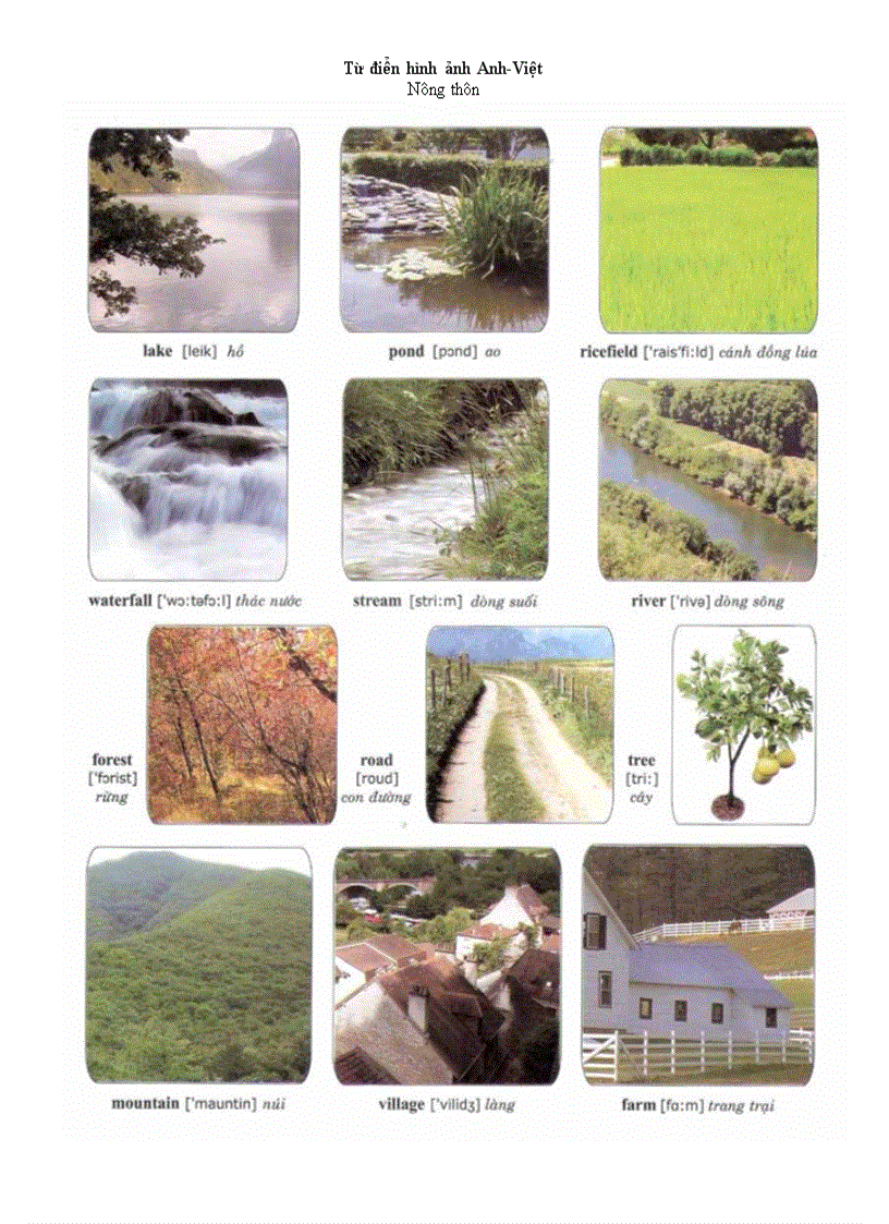 image for page Từ điển hình ảnh anh việt