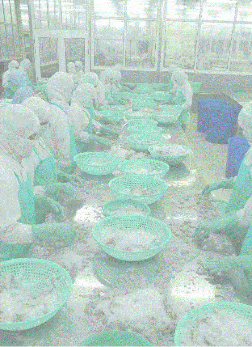 image for page Top 200 Chiến lược công nghiệp của các doanh nghiệp lớn nhất Việt Nam