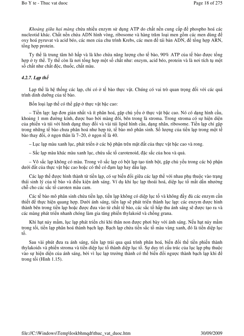 image for page Thực vật dược