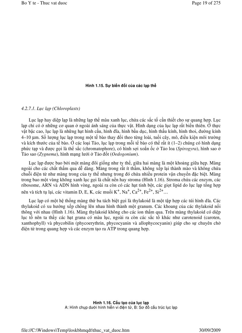 image for page Thực vật dược